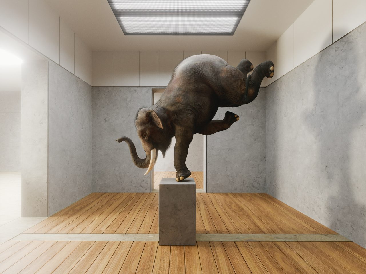 An elephant balancing on a plinth in an empty room
